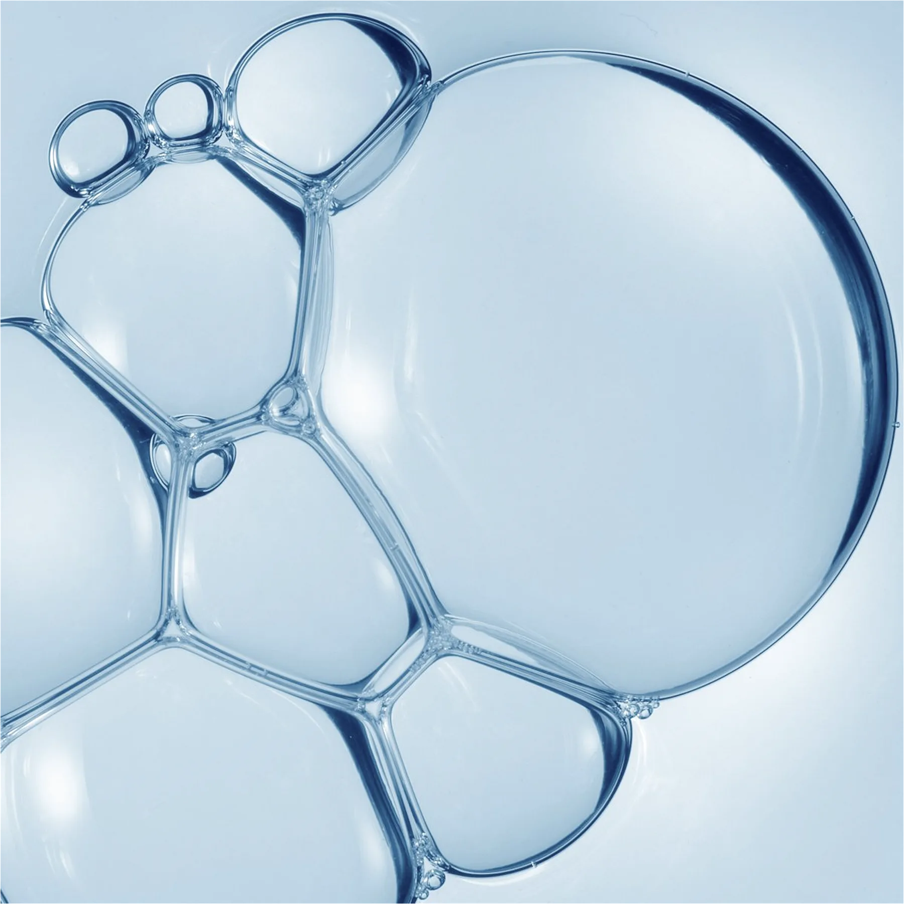 Marine collagen texture